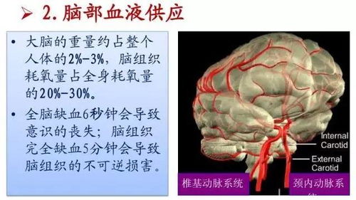 構建全周期健康管理 腦卒中患者的專業(yè)養(yǎng)生保健服務指南